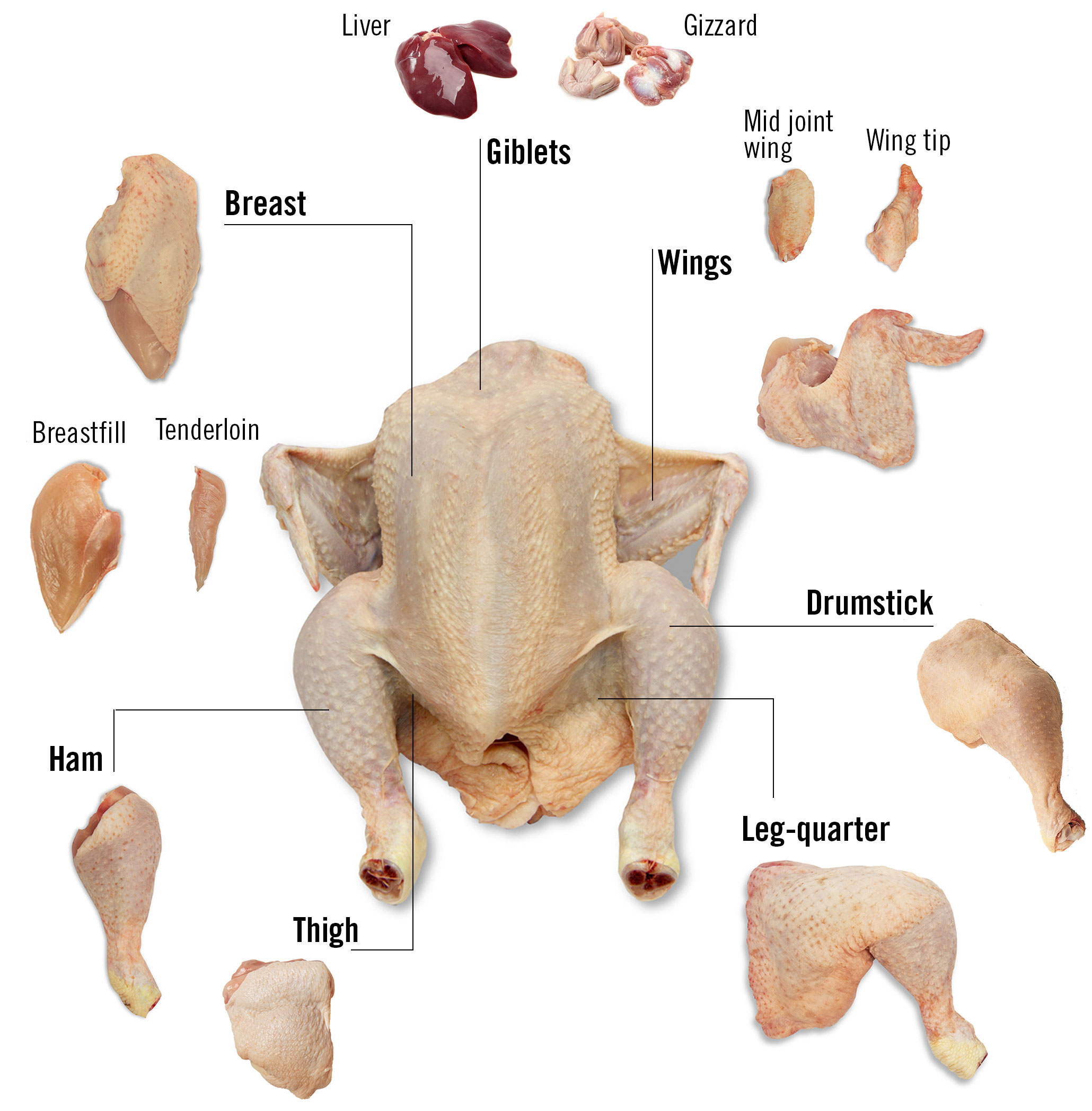 chicken meat parts