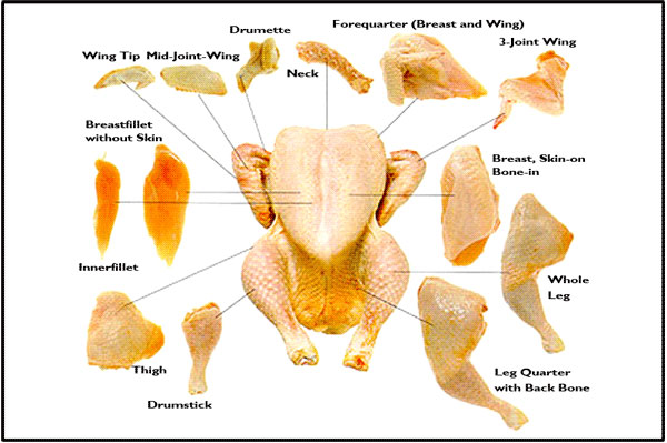 Turkey Protein Alliance